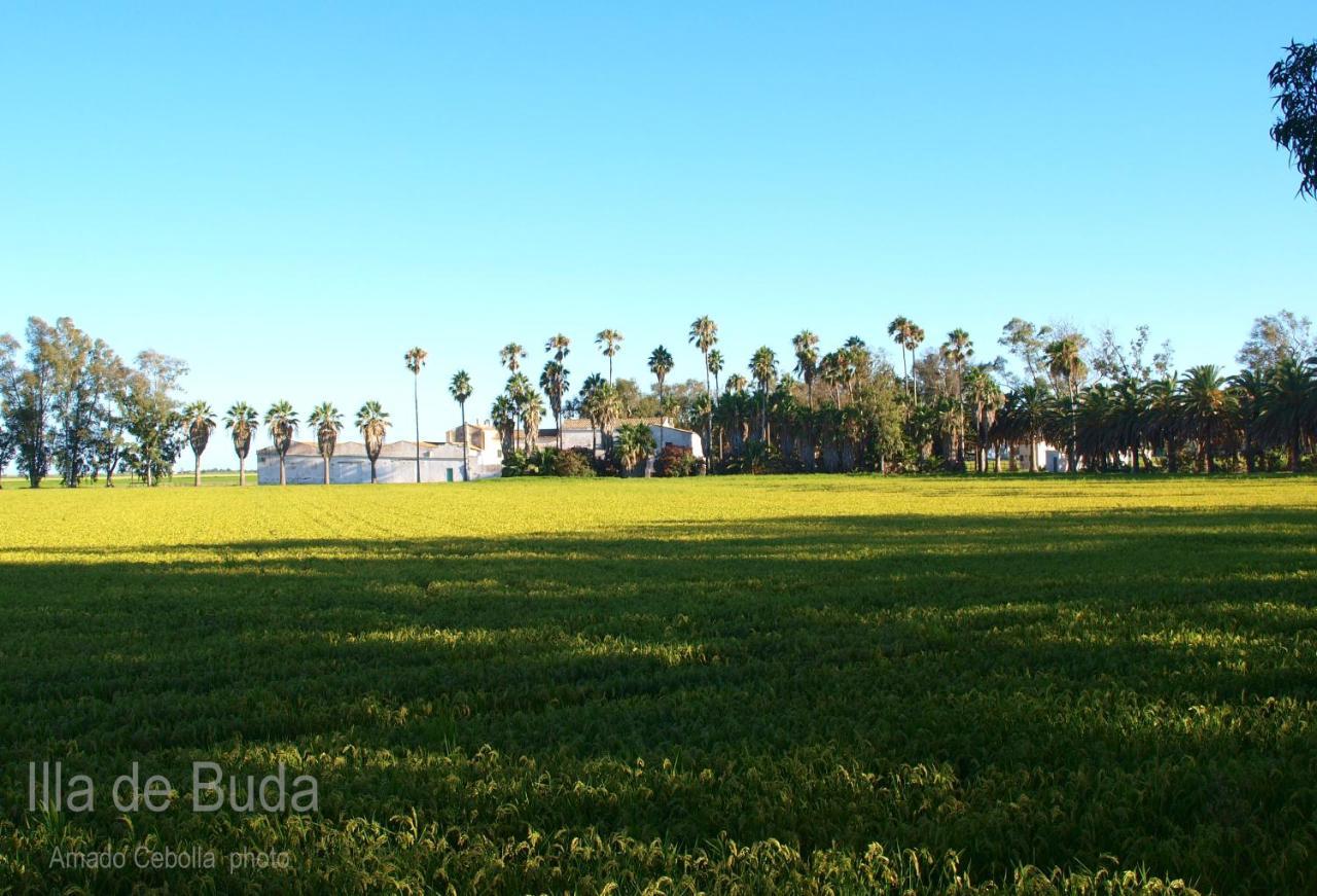 Villa Paquita - Delta De L'Ebre 代尔特布雷 外观 照片