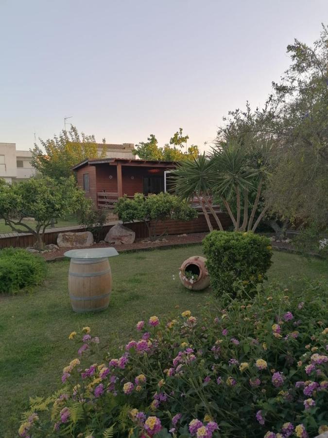 Villa Paquita - Delta De L'Ebre 代尔特布雷 外观 照片